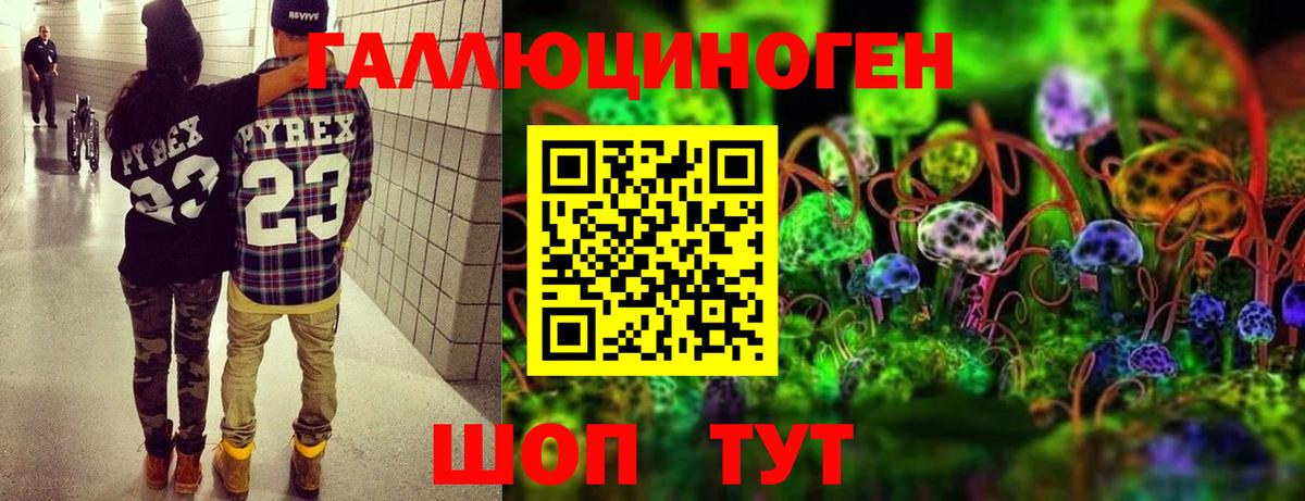 Галлюциногенные грибы Magic Shrooms  Вход с VPN  Ростов Великий  Галлюциногенные грибы Psilocybe 